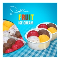 بستنی میوه‌ای تک نفره